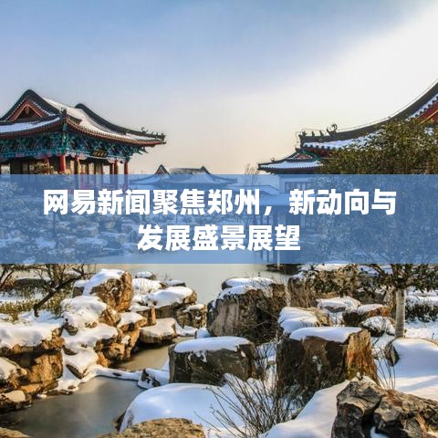 网易新闻聚焦郑州,新动向与发展盛景展望