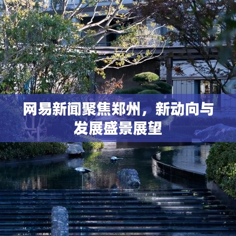 网易新闻聚焦郑州,新动向与发展盛景展望