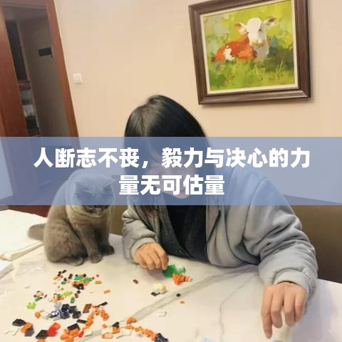 人断志不丧,毅力与决心的力量无可估量