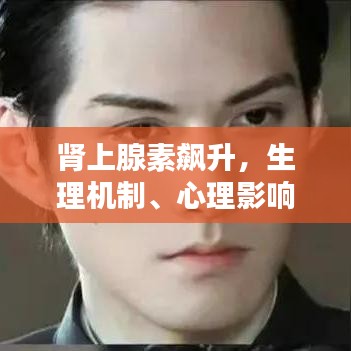 肾上腺素飙升，生理机制、心理影响全解析