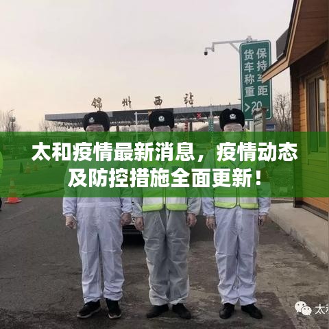 太和疫情最新消息，疫情动态及防控措施全面更新！
