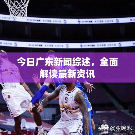 今日广东新闻综述，全面解读最新资讯