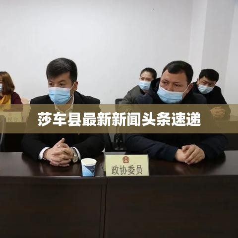 莎车县最新新闻头条速递