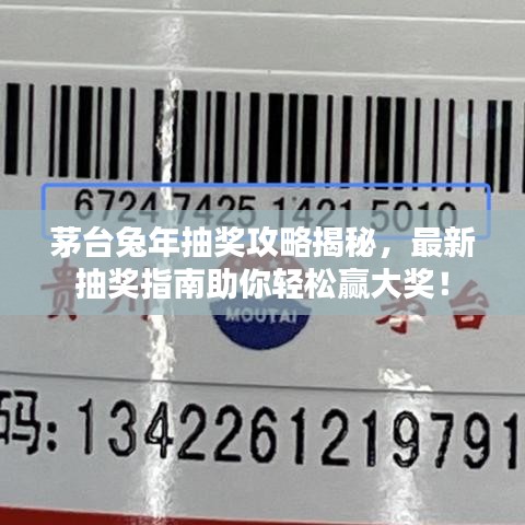 茅台兔年抽奖攻略揭秘,最新抽奖指南助你轻松赢大奖!