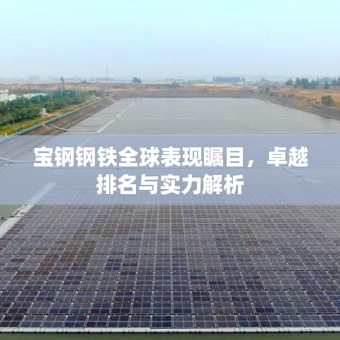 宝钢钢铁全球表现瞩目,卓越排名与实力解析