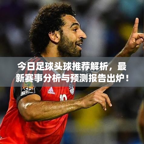 雍容华贵 第6页