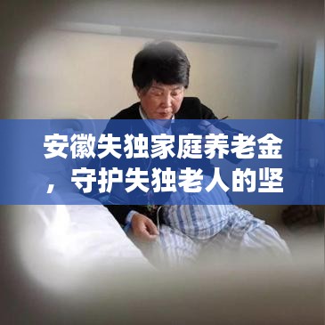 安徽失独家庭养老金，守护失独老人的坚实后盾