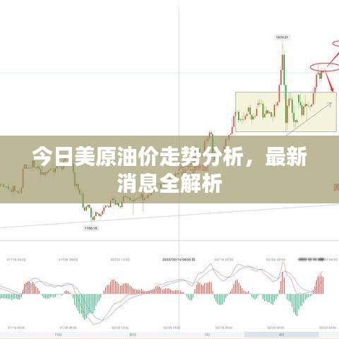 今日美原油价走势分析，最新消息全解析
