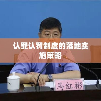 认罪认罚制度的落地实施策略