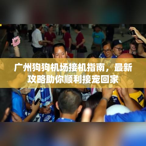 广州狗狗机场接机指南,最新攻略助你顺利接宠回家