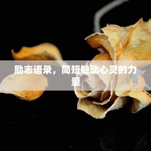 励志语录,简短触动心灵的力量