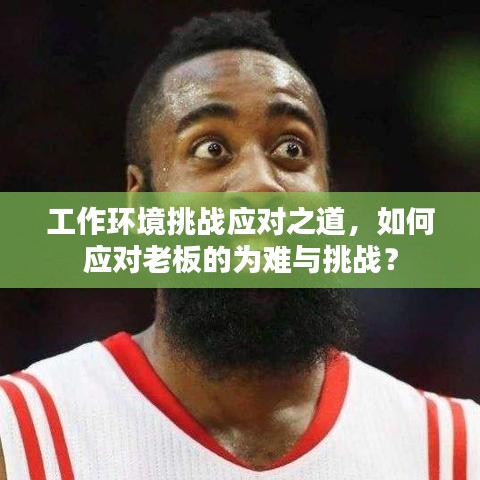 工作环境挑战应对之道，如何应对老板的为难与挑战？