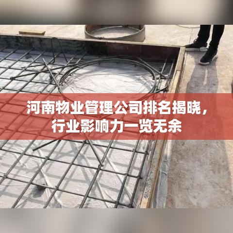 河南物业管理公司排名揭晓,行业影响力一览无余