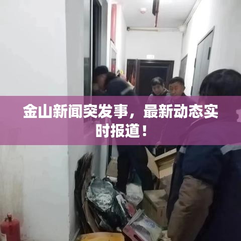 金山新闻突发事,最新动态实时报道!