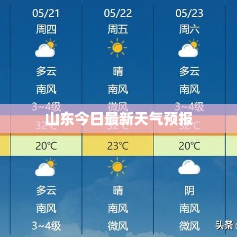 山东今日最新天气预报