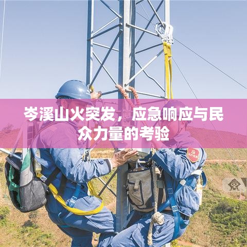 岑溪山火突发,应急响应与民众力量的考验