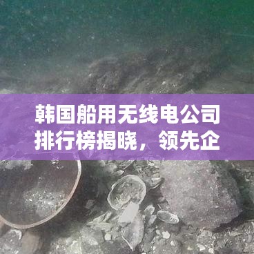 韩国船用无线电公司排行榜揭晓，领先企业一览