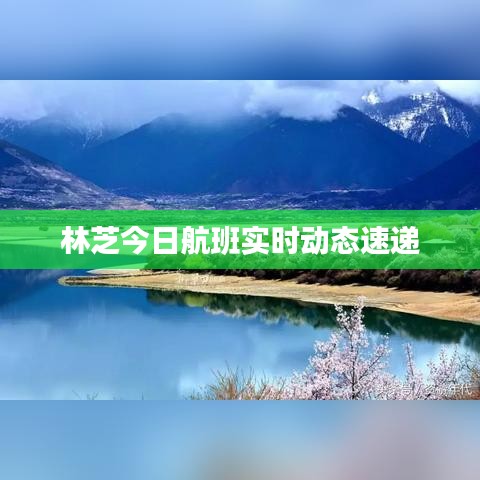 林芝今日航班实时动态速递