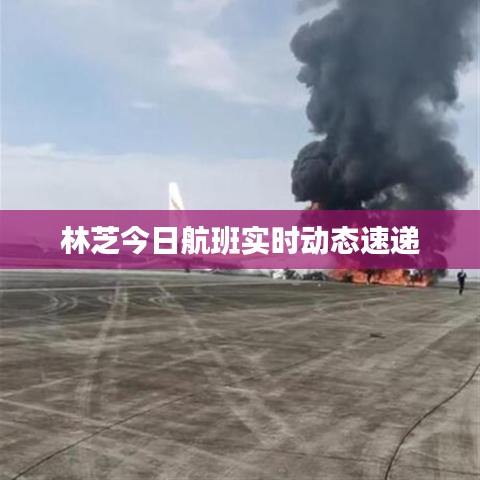 林芝今日航班实时动态速递