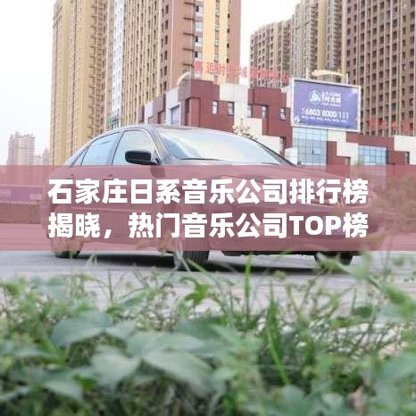 石家庄日系音乐公司排行榜揭晓,热门音乐公司TOP榜单