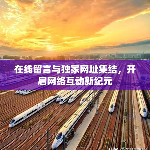 在线留言与独家网址集结,开启网络互动新纪元