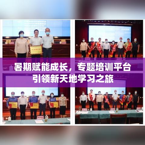 暑期赋能成长，专题培训平台引领新天地学习之旅