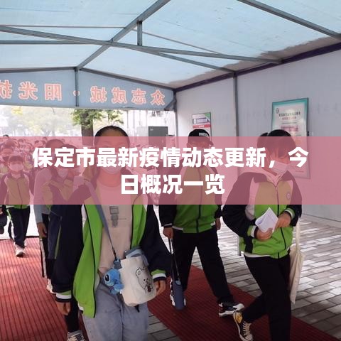 保定市最新疫情动态更新，今日概况一览