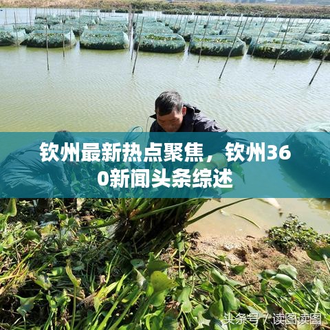 钦州最新热点聚焦,钦州360新闻头条综述