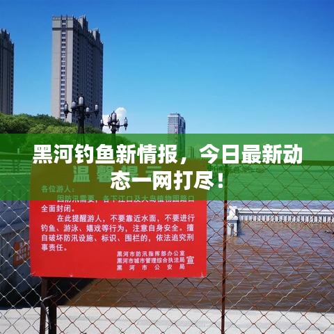 黑河钓鱼新情报,今日最新动态一网打尽!
