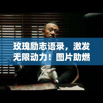 玫瑰励志语录,激发无限动力!图片助燃心灵之火