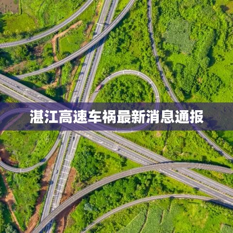 飞箭如蝗 第6页