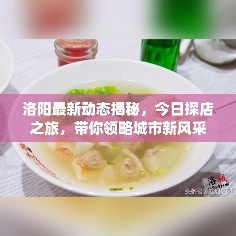 洛阳最新动态揭秘,今日探店之旅,带你领略城市新风采