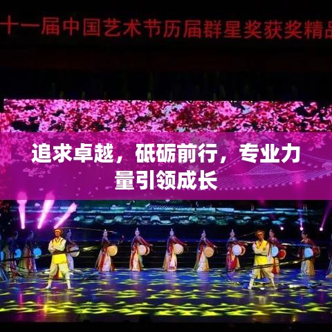 追求卓越,砥砺前行,专业力量引领成长