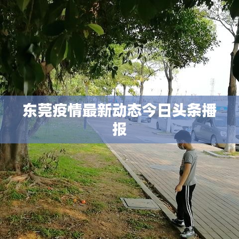 东莞疫情最新动态今日头条播报