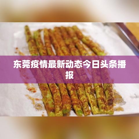 东莞疫情最新动态今日头条播报