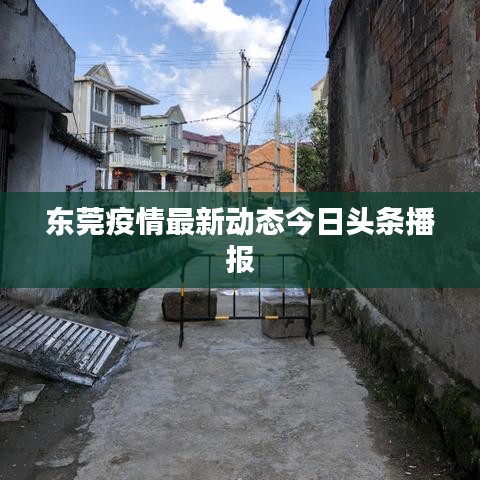 东莞疫情最新动态今日头条播报