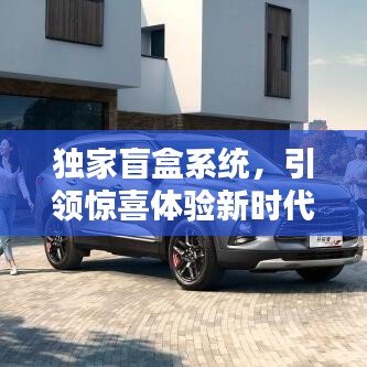 独家盲盒系统，引领惊喜体验新时代！