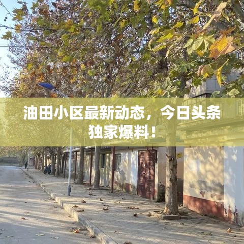 油田小区最新动态，今日头条独家爆料！