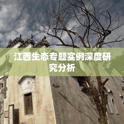 江西生态专题实例深度研究分析
