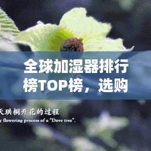 全球加湿器排行榜TOP榜,选购最佳加湿器必看!