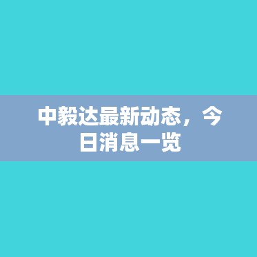 中毅达最新动态，今日消息一览