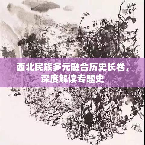 西北民族多元融合历史长卷,深度解读专题史