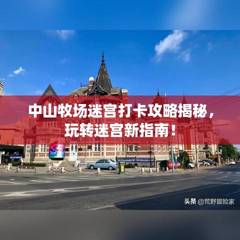 中山牧场迷宫打卡攻略揭秘,玩转迷宫新指南!