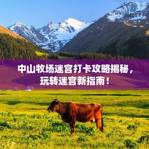 中山牧场迷宫打卡攻略揭秘,玩转迷宫新指南!