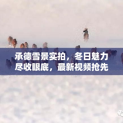 承德雪景实拍，冬日魅力尽收眼底，最新视频抢先看！