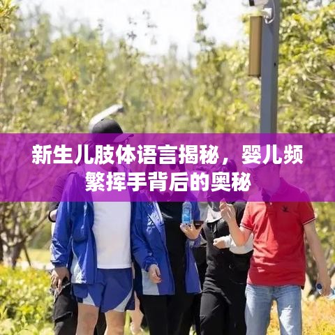新生儿肢体语言揭秘，婴儿频繁挥手背后的奥秘