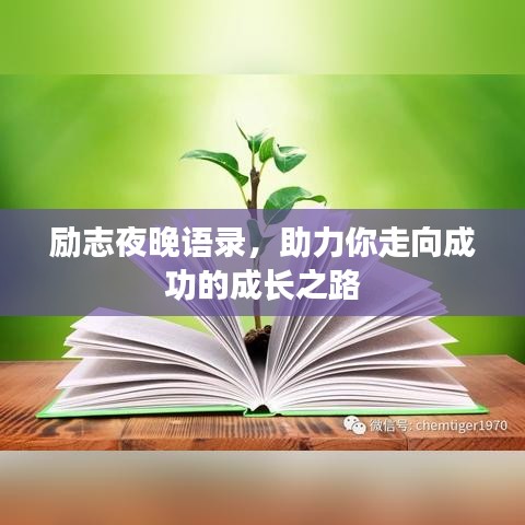 励志夜晚语录，助力你走向成功的成长之路