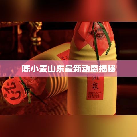 陈小麦山东最新动态揭秘