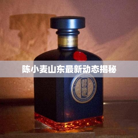 陈小麦山东最新动态揭秘