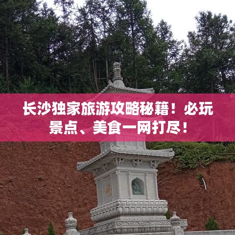 龙飞凤舞 第5页